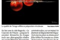La photo du mois de décembre 2018